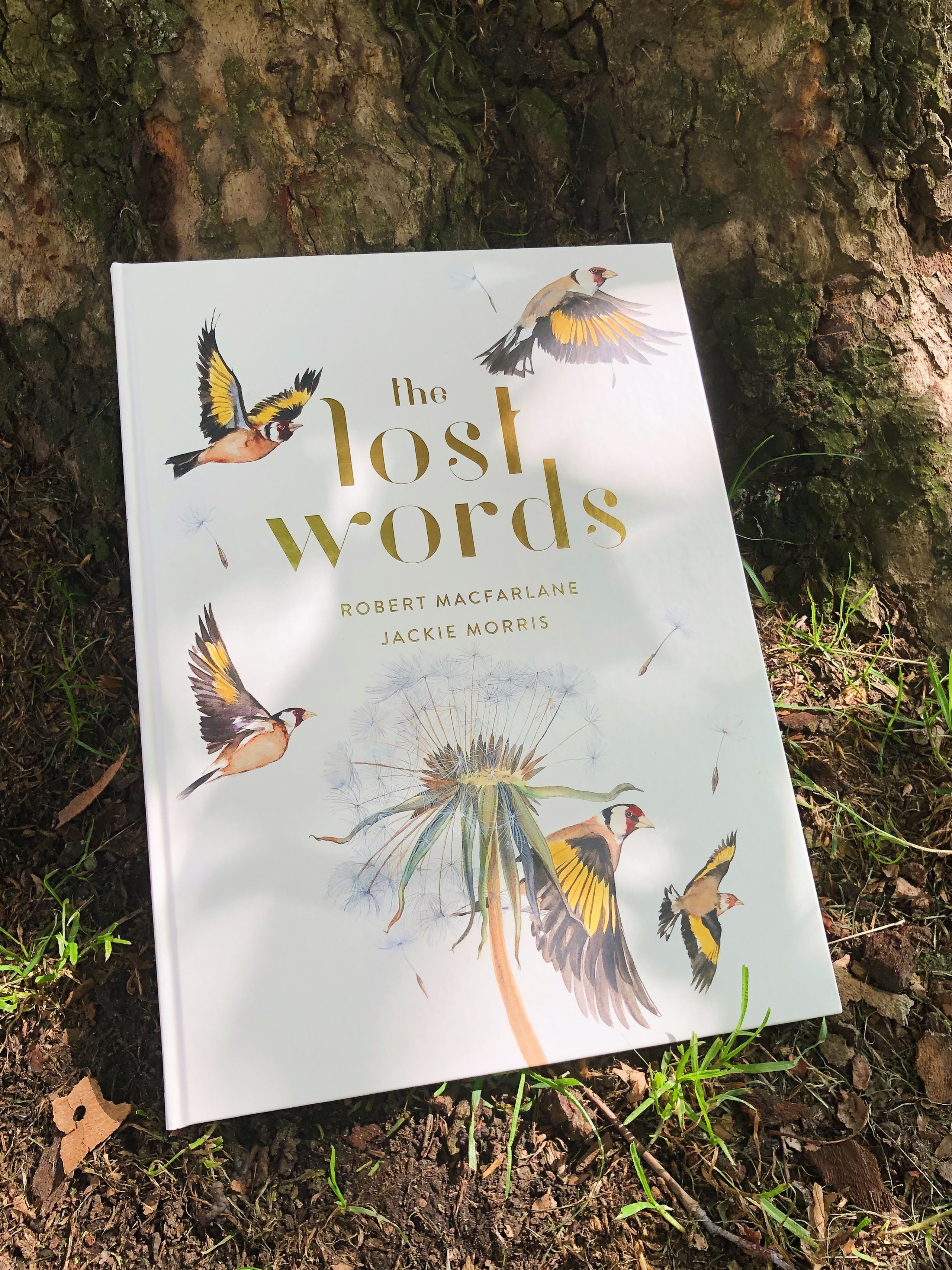 The Lost Words | Trees for Cities Webshop