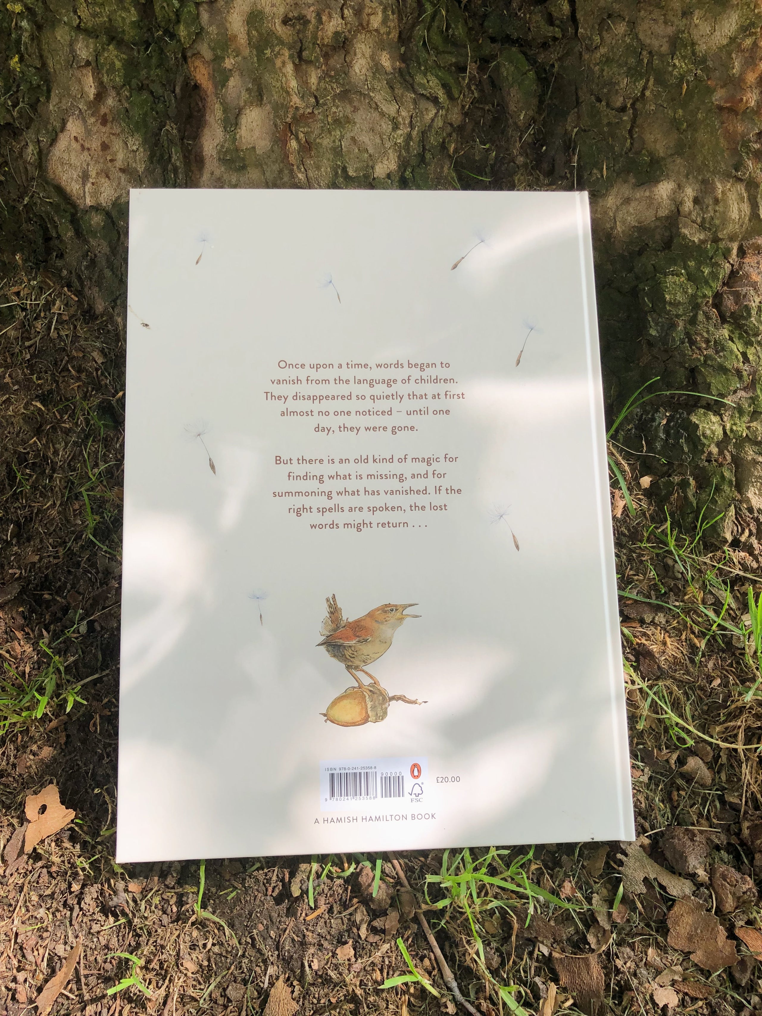 The Lost Words | Trees for Cities Webshop